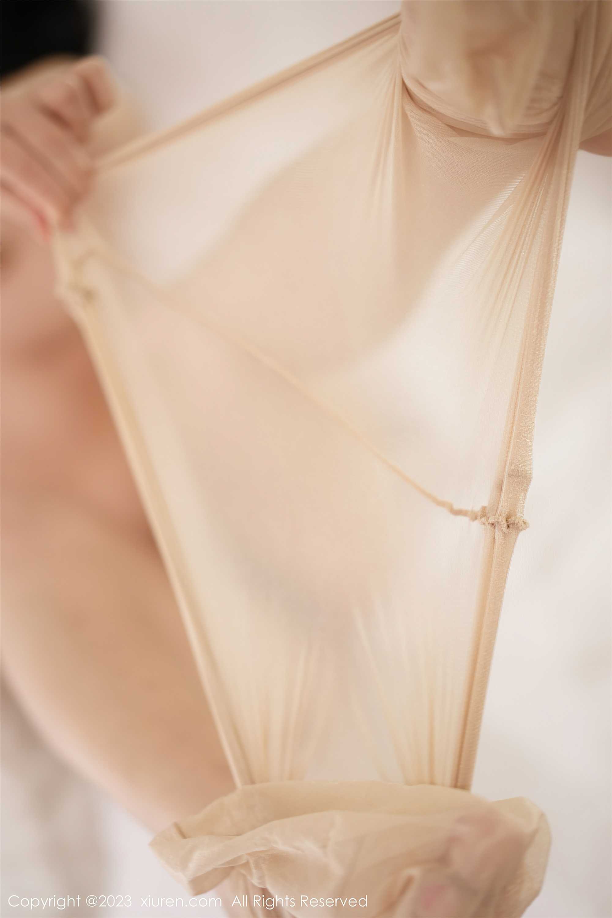 Xiuren秀人网 2023.12.29 NO.7893 谭小灵